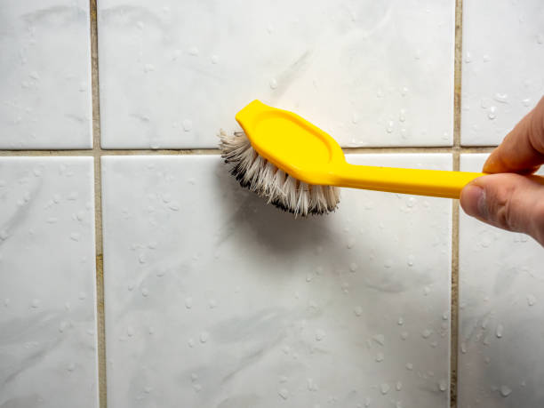 Best Toxic Mold Removal  in Callahan, FL