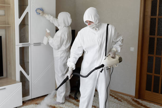 Best Residential Mold Removal  in Callahan, FL