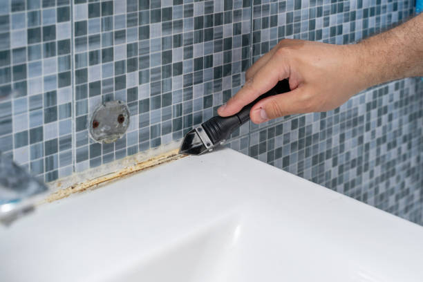 Best Local Mold Removal Service  in Callahan, FL